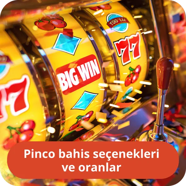 Pinco bahis seçenekleri və oranlar