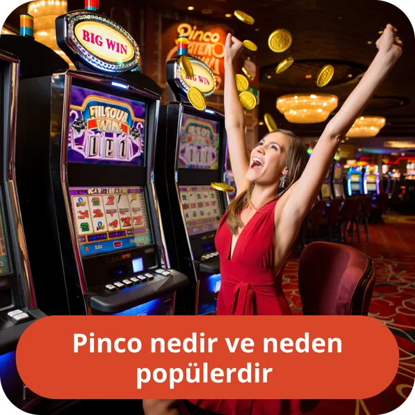 Pinco nedir ve neden popülerdir